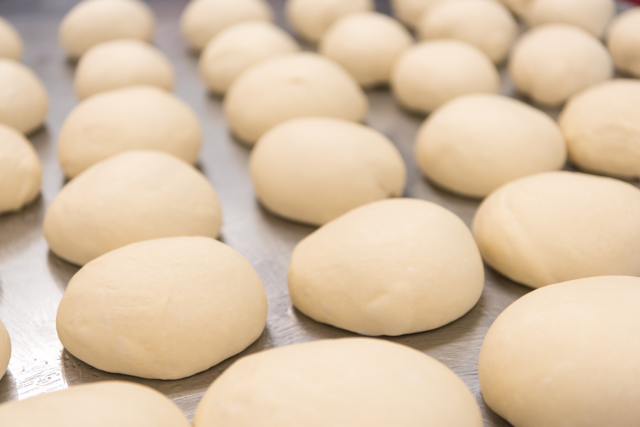 dough rising dough rising